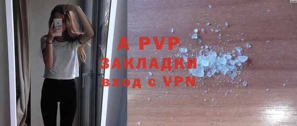 тгк Инта