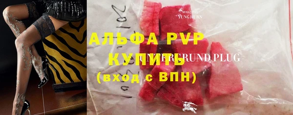 трава Иннополис