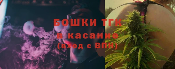 тгк Инта