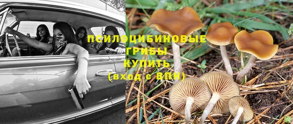 тгк Инта