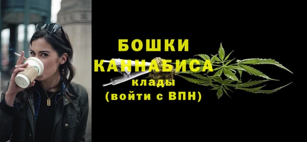 тгк Инта