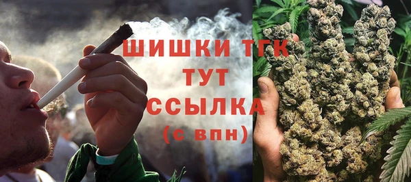 тгк Инта