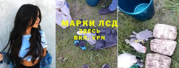 тгк Инта