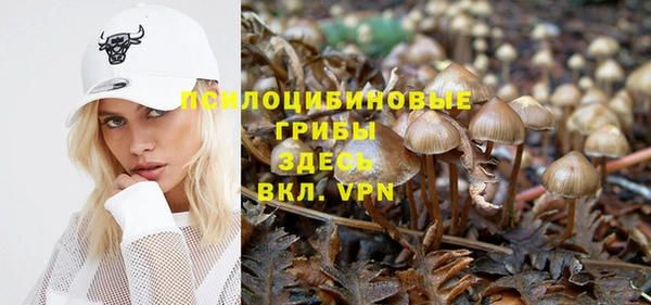 трава Иннополис