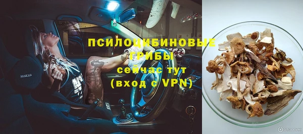 тгк Инта