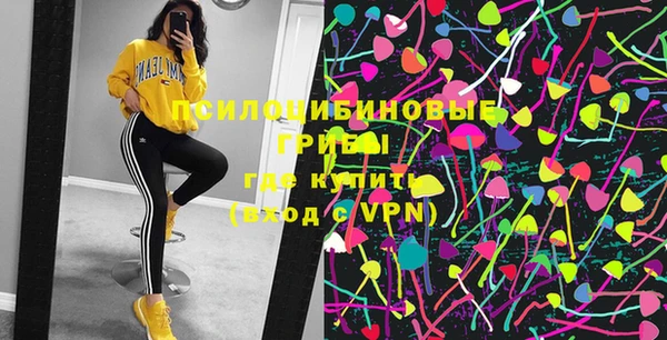 тгк Инта